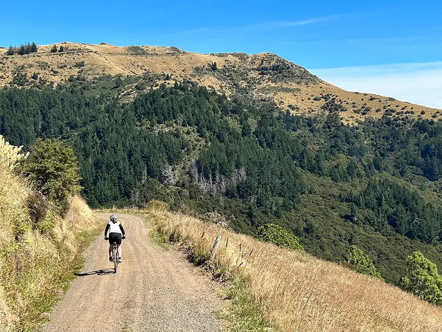 Akaroa Harbour Bicycle Tours