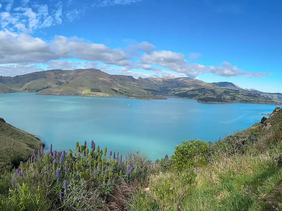 Akaroa Harbour Bicycle Tours
