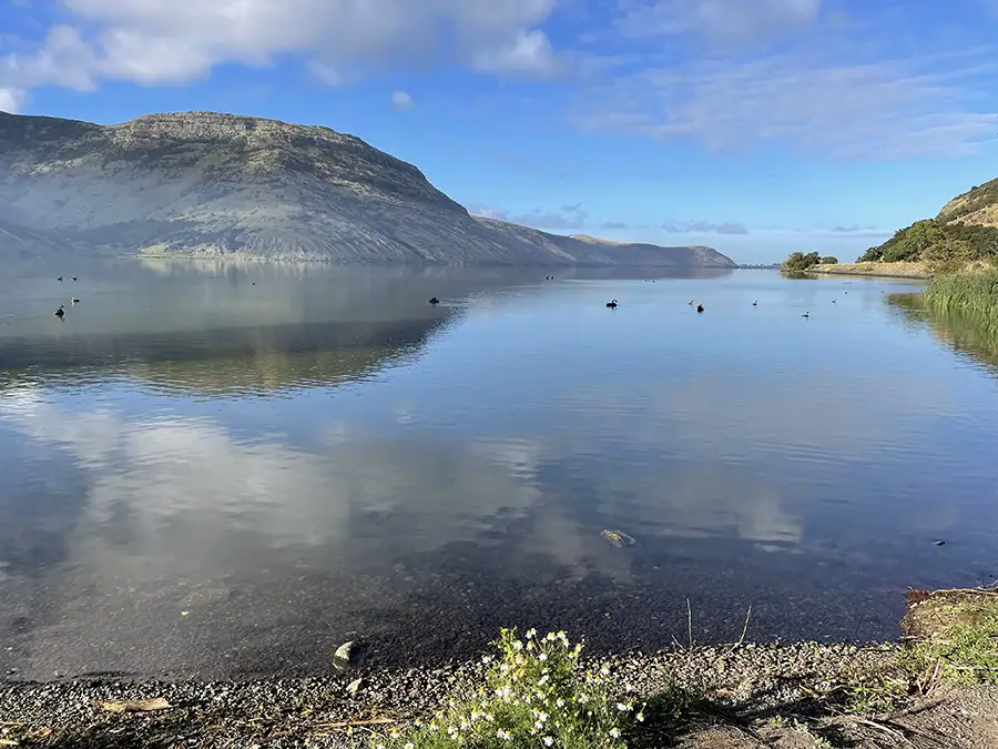 Little River Rail Trail - Cycle Tours and Cycle Hire